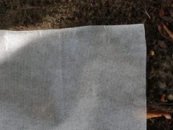 AGROWŁÓKNINA 50 G - 1,6X50M