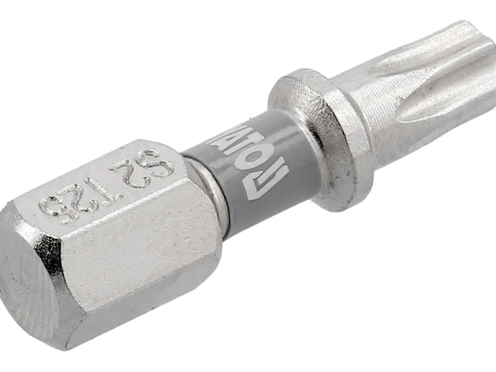 BITY 1/4"X25 MM T25 2 SZT NI