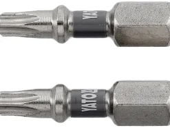 BITY 1/4"X25 MM T20 2 SZT NI