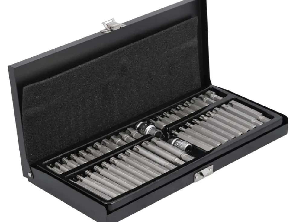 KOŃCÓWKI WKRĘTAKOWE RIBE, TORX SECURITY, ZESTAW 42 SZT.