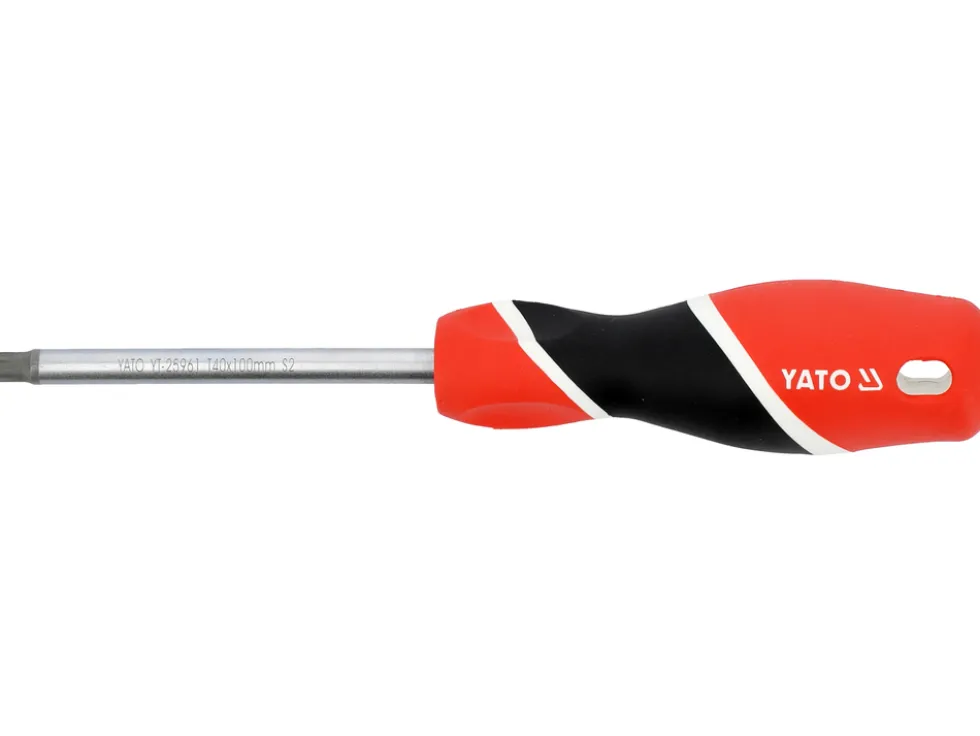 WKRĘTAK TORX SECURITY T40X100MM