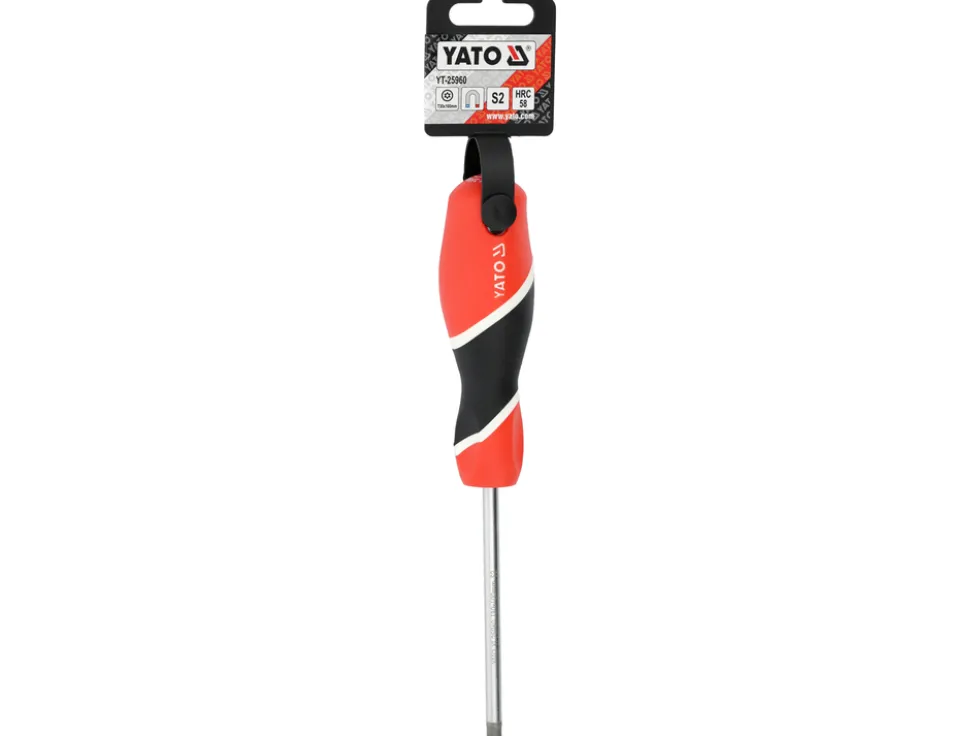 WKRĘTAK TORX SECURITY T30X100MM