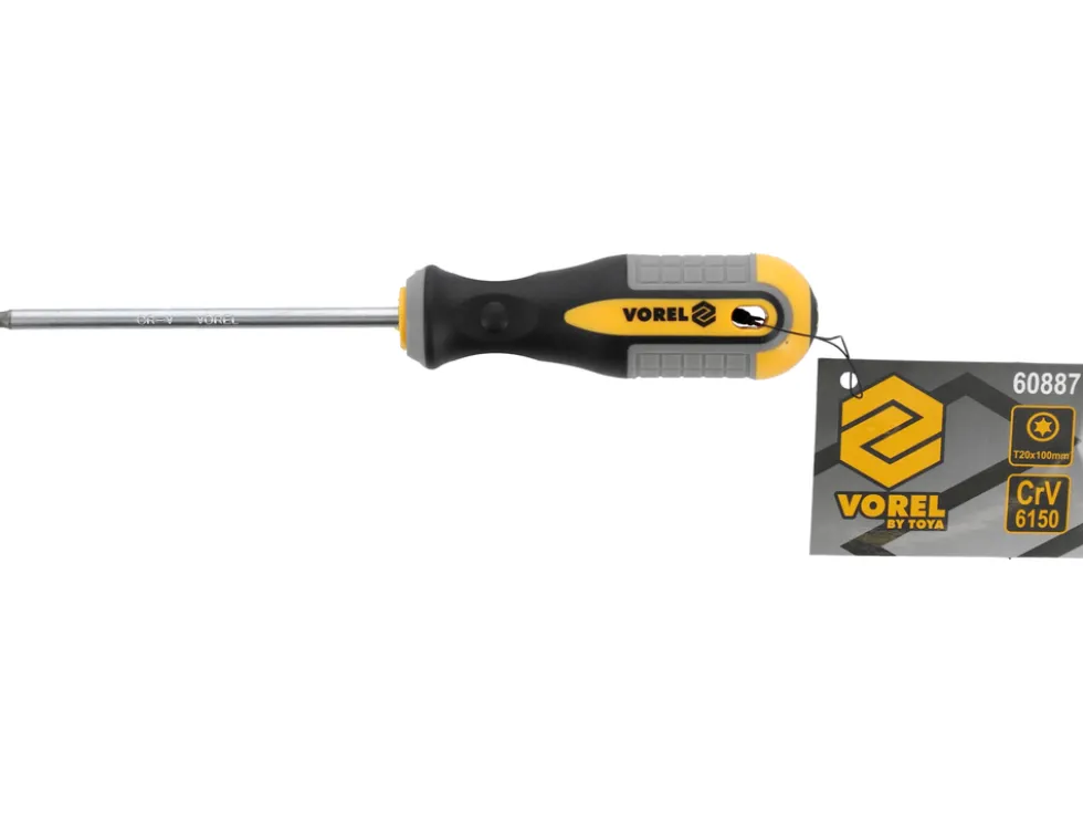 WKRĘTAK TORX T20X100 MM CRV