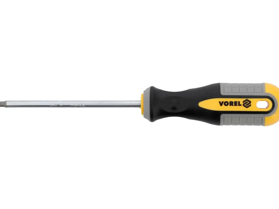 WKRĘTAK TORX T20X100 MM CRV