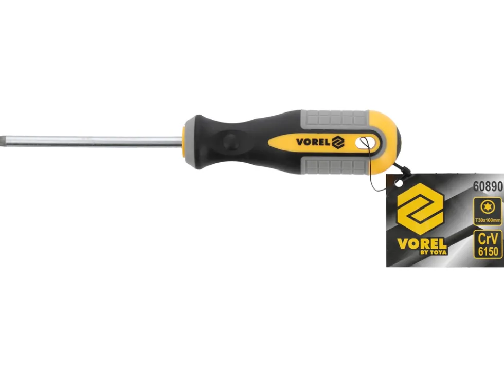 WKRĘTAK TORX T30X100 MM CRV