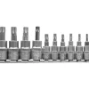 ZESTAW KLUCZY TORX NA SZYNIE 12CZ.