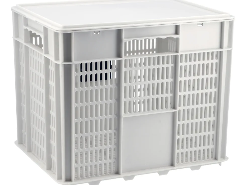 ZESTAW PRZECIWPOWODZIOWY POMPA 750W WĄŻ 10M KOSZ
